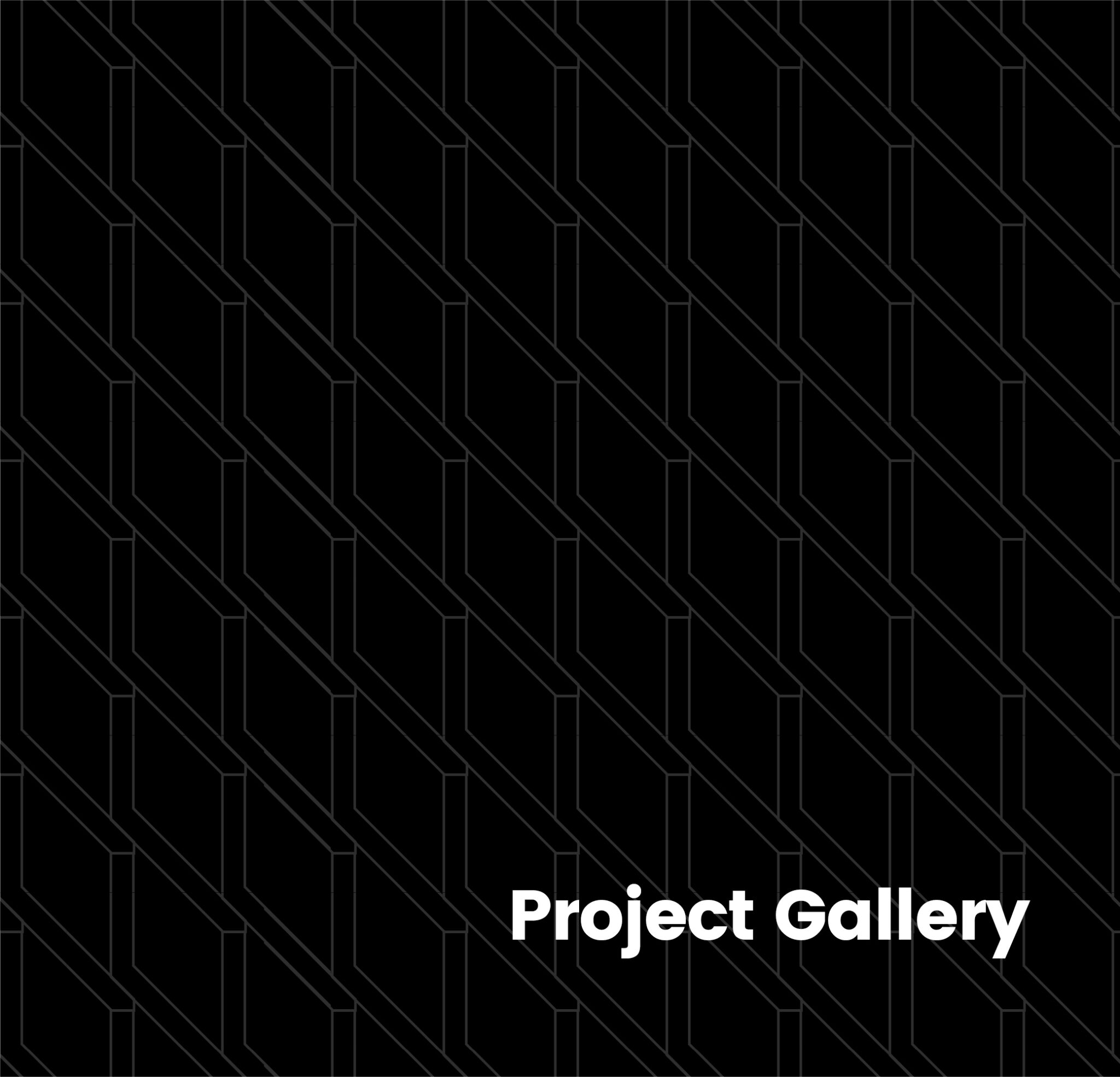 Project Gallery